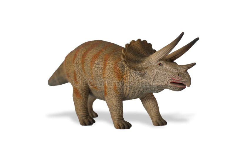 Triceratops en el fondo blanco foto de archivo Triceratops en el fondo blanco foto de archivo