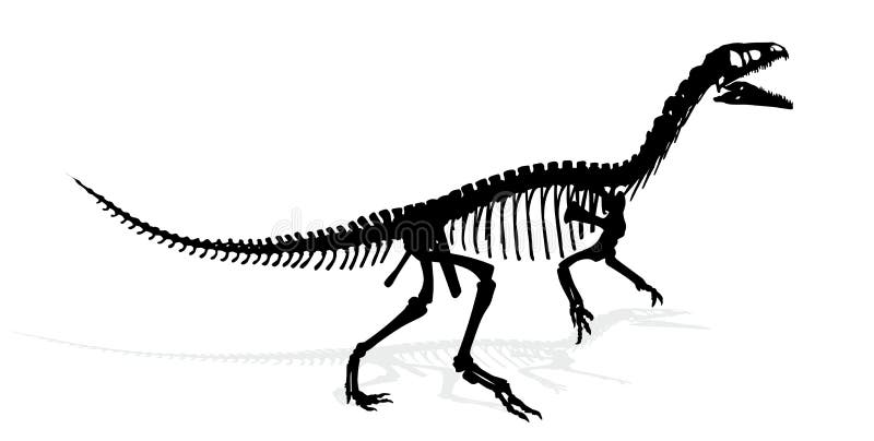 Triceratops Fossiele schedel over wit geïsoleerde achtergrond vector illustratie Triceratops Fossiele schedel over wit geïsoleerde achtergrond vector illustratie