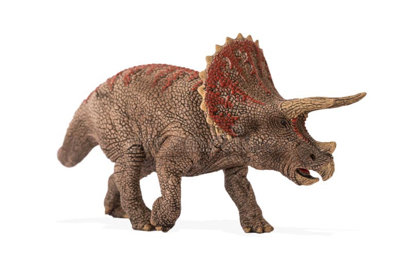 Triceratops Stock Photos - Download 1,194 Royalty Free Photos