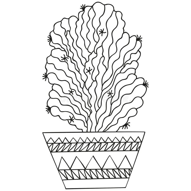 Cacto Na Ilustração Preto E Branco Do Vetor Da Garatuja Dos Desenhos  Animados Do Esboço Do Vaso De Flores Ilustração Stock - Ilustração de  botânica, feliz: 109340325