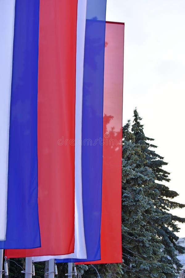 Tricolor Flags on the Square are Red White and Blue Stock Image Image