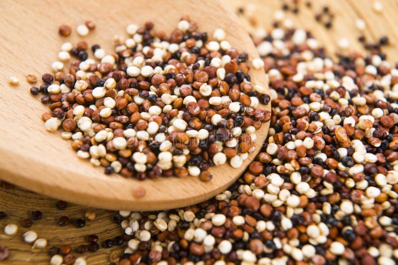 Tricolor quinoa grain stock image. Image of quinoa, white 37961821