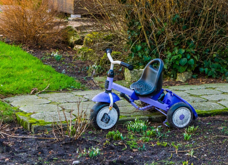 Tricycle garé dans le jardin, jouets d'enfants, jouet populaire d'enfant photo stock Tricycle garé dans le jardin, jouets d'enfants, jouet populaire d'enfant photo stock