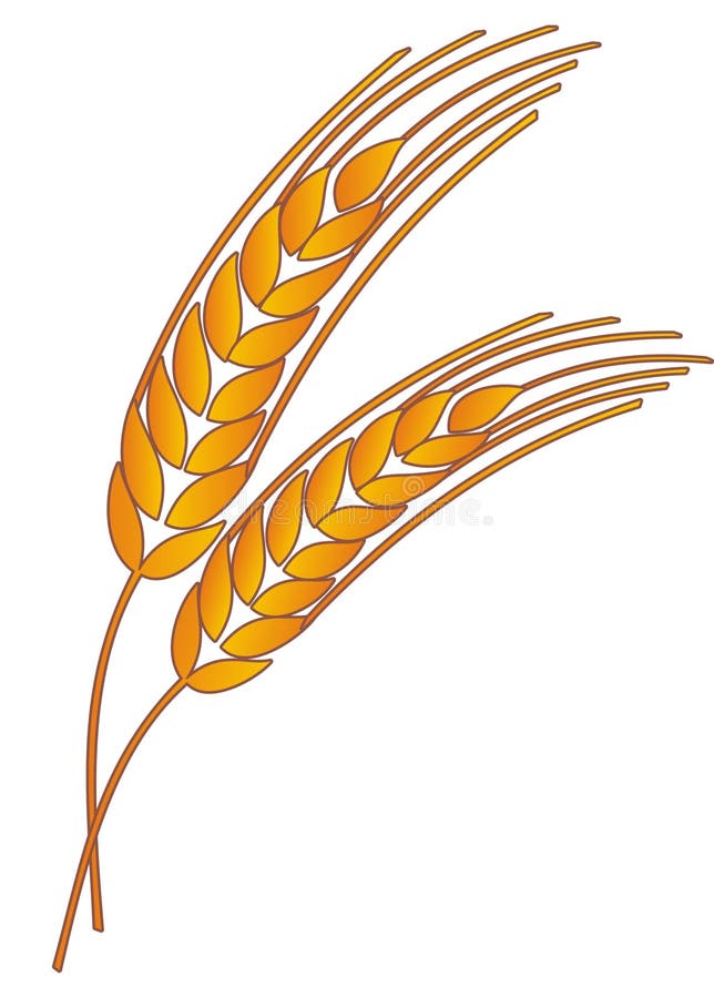 Trigo ilustração stock