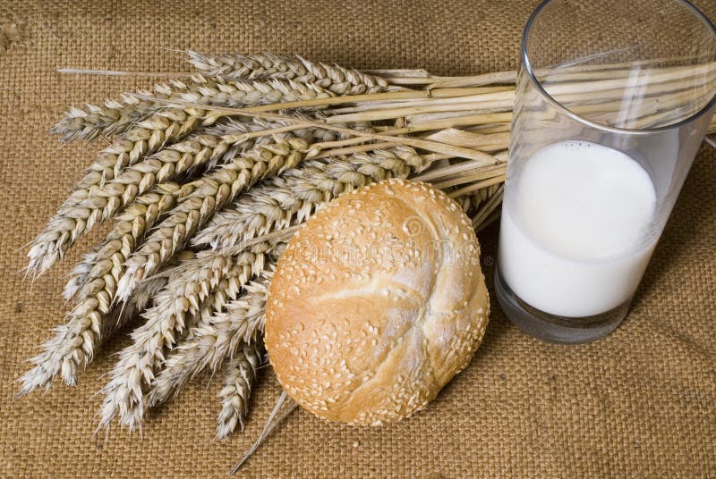 Bread wheat and milk on the table. Bread wheat and milk on the table