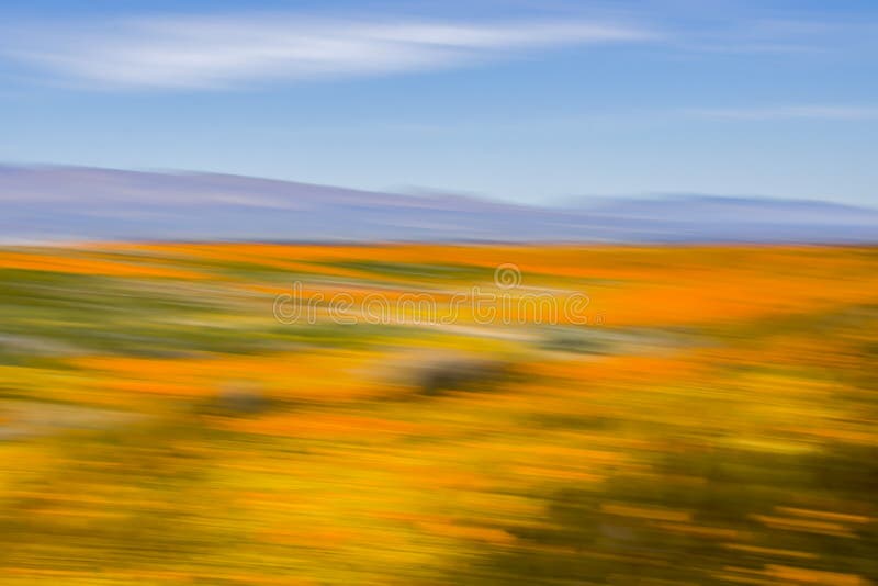 Trillend Wildflower-Woestijnlandschap met Blauwe Hemel die Motieonduidelijk beeld voor Abstracte Kleurenstudie gebruiken royalty-vrije stock foto's Trillend Wildflower-Woestijnlandschap met Blauwe Hemel die Motieonduidelijk beeld voor Abstracte Kleurenstudie gebruiken royalty-vrije stock foto's