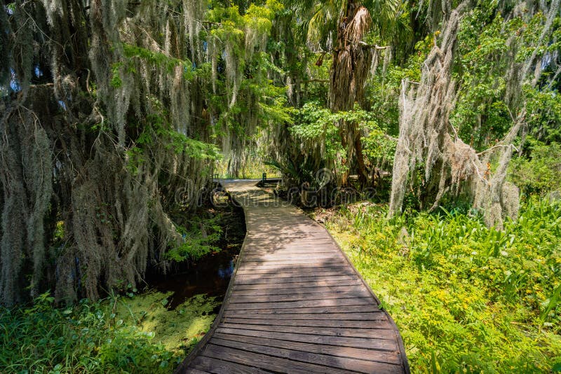 Trimble Park a Lake Boardwalk in Mount Dora, Florida Stock Photo