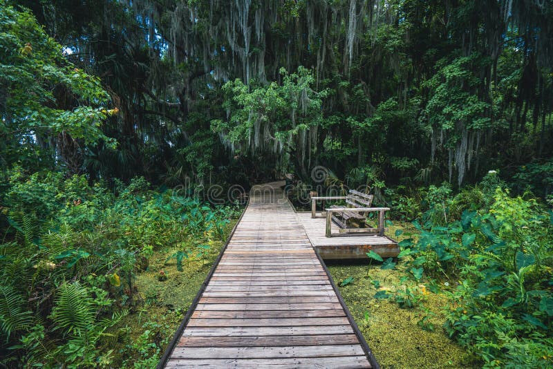Trimble Park a Lake Boardwalk in Mount Dora, Florida Stock Image