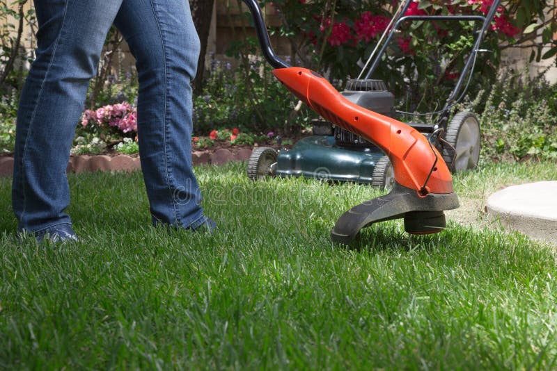 Trimming Lawn stock photo. Image of garden, leisure, trimming 25322678