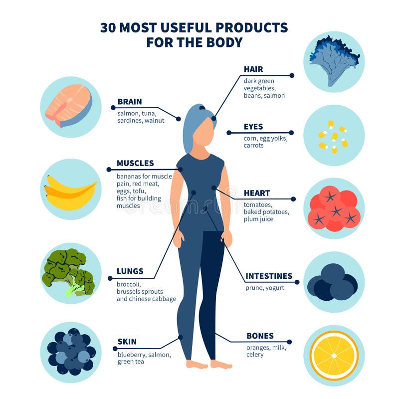 Thirty most healthy products for the body. In minimalist style Cartoon flat Vector Illustration. Thirty most healthy products for the body. In minimalist style Cartoon flat Vector Illustration