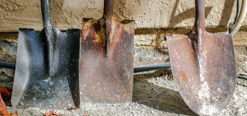 A trio of old, rusted shovels that still manage to get a job done