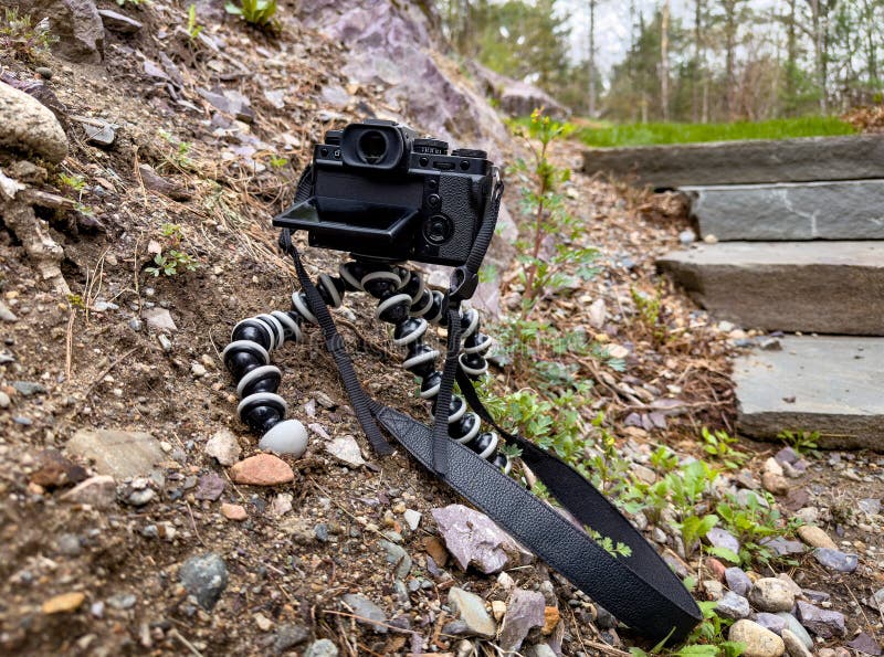 194 Uneven Legs Stock Photos Free & RoyaltyFree Stock Photos from