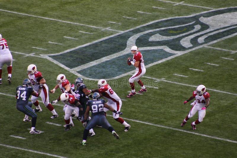 Triunfo de los cardenales de Arizona contra los seahawks de Seattle foto de archivo libre de regalías Triunfo de los cardenales de Arizona contra los seahawks de Seattle foto de archivo libre de regalías