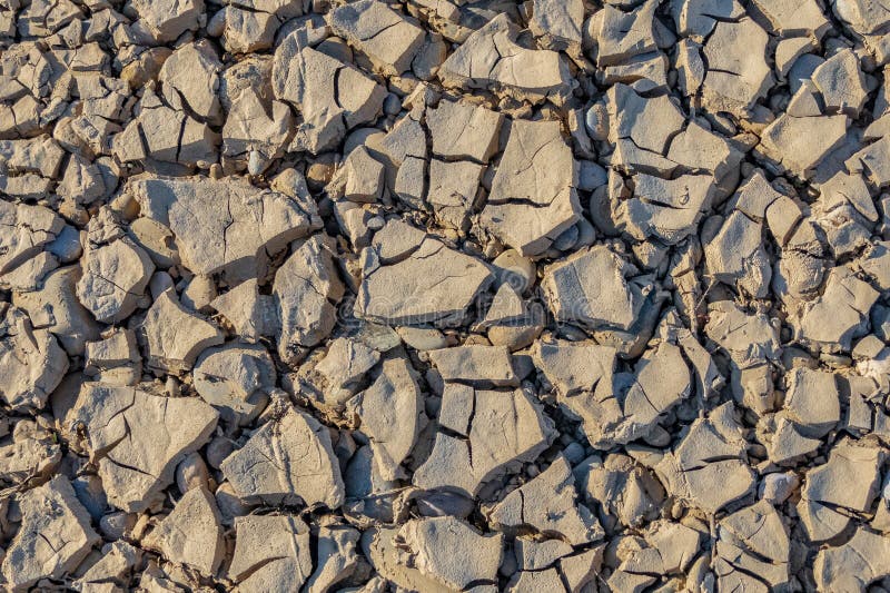 Trockene Erdbeschaffenheit hellgrau lizenzfreie stockbilder Trockene Erdbeschaffenheit hellgrau lizenzfreie stockbilder