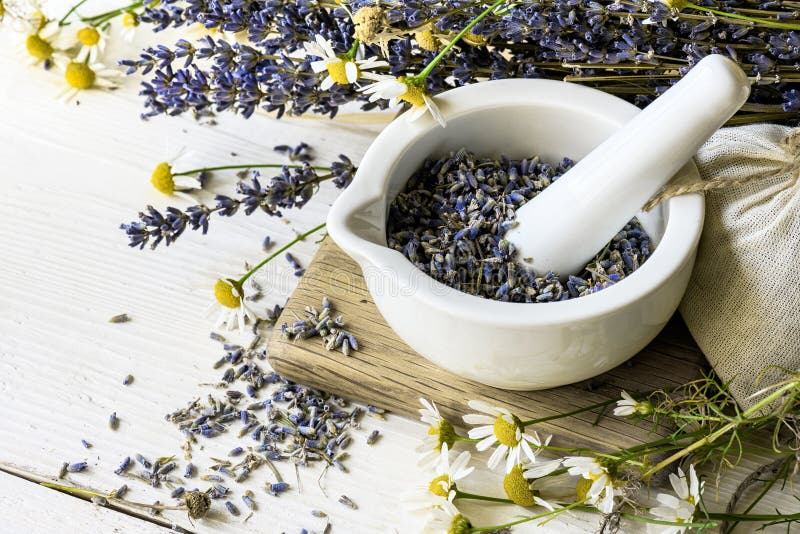 Trockene Lavendelblumen im weißen Mörser auf weißem hölzernem Hintergrund Kr?utermedizinhintergrund stockbild Trockene Lavendelblumen im weißen Mörser auf weißem hölzernem Hintergrund Kr?utermedizinhintergrund stockbild