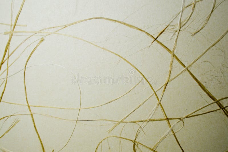Trockenes gelbes Gras auf beige Papyrus, lizenzfreies stockfoto Trockenes gelbes Gras auf beige Papyrus, lizenzfreies stockfoto