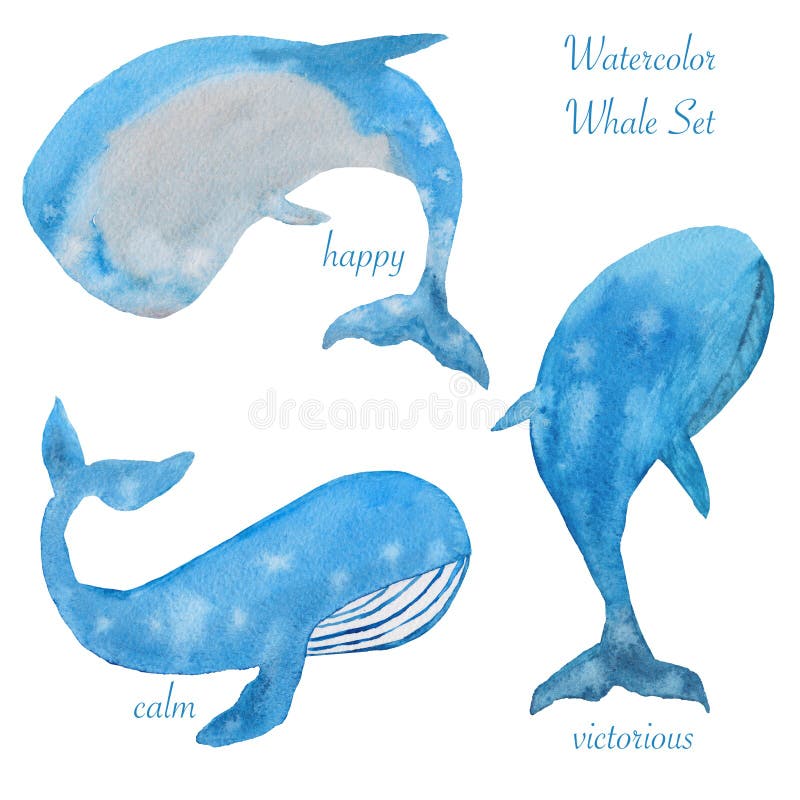 Trois baleines d'aquarelle illustration de vecteur Trois baleines d'aquarelle illustration de vecteur