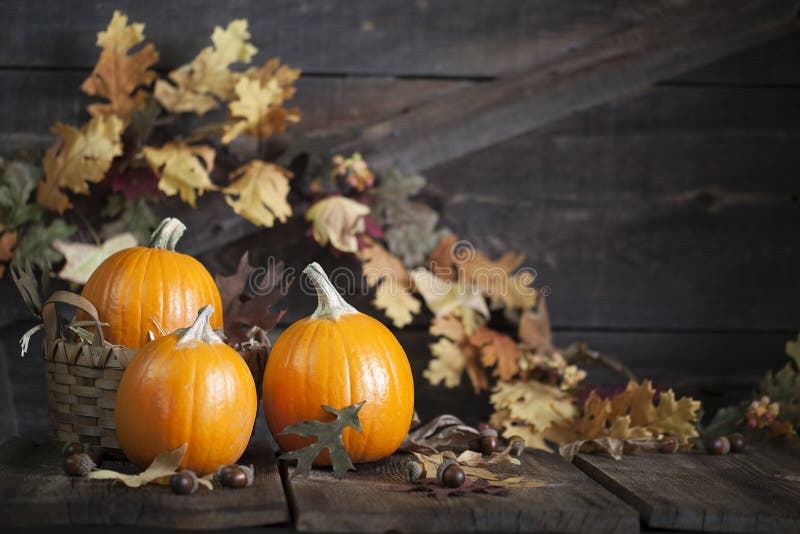 Trois feuilles d'automne de potirons photos stock Trois feuilles d'automne de potirons photos stock