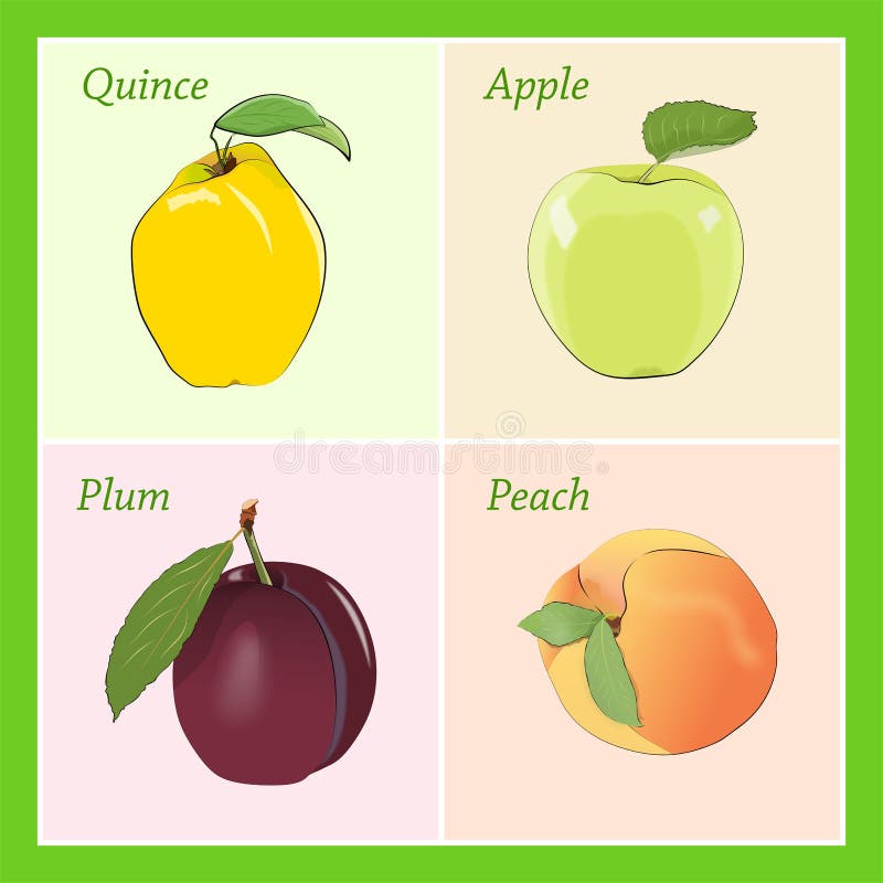 Fourchettes,50 Pièces Dessin Animé Yeux Fruits Fourchettes Nourriture