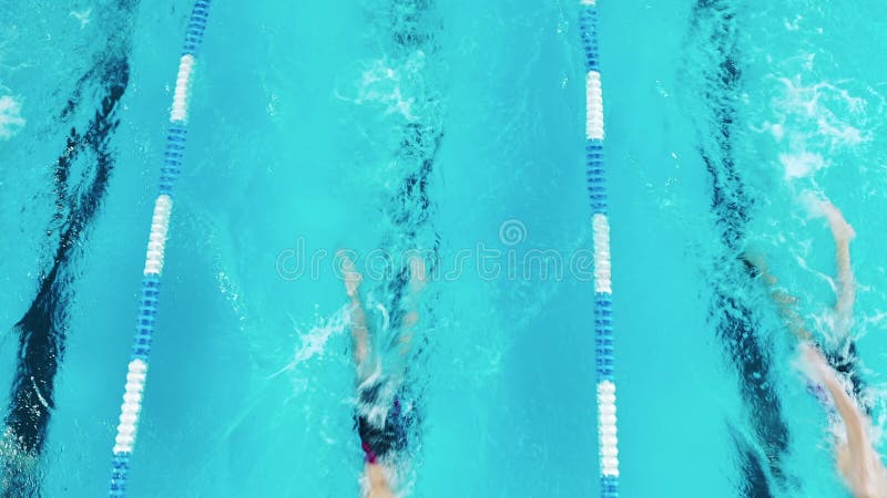 Trois nageurs professionnels s'entraînent en piscine. vue supérieure banque de vidéos