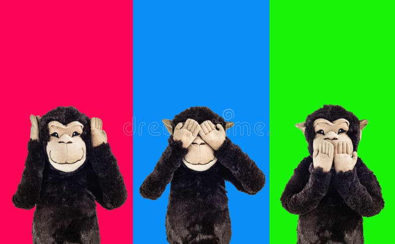 TROIS SINGES SAGES photos libres de droits TROIS SINGES SAGES photos libres de droits