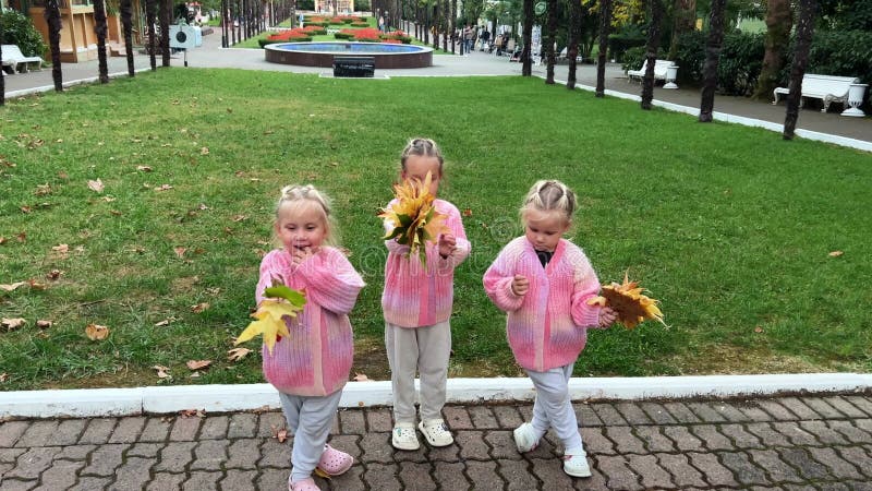 Trois soeurs triplées en chandail rose avec feuilles tombées d'automne dans le parc clips vidéos
