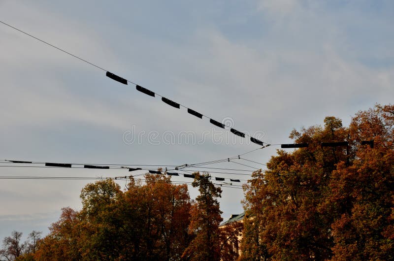 Trolley bus is an ecological solution for royalty free stock photography