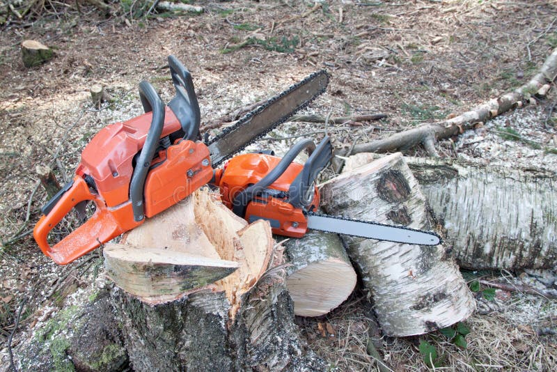 Hache Ld Dans Une Souche D'arbre Hache Prête à Couper Du Bois Outil De  Travail Du Bois Hache Dans Du Bois à Couper Du Bois