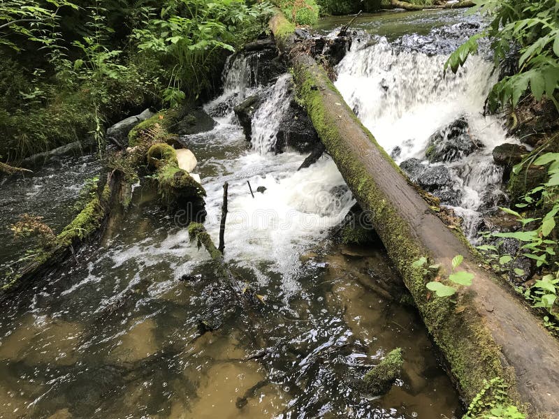 Tronco de árbol caido sobre corriente rápida del agua de la montaña imagen de archivo libre de regalías Tronco de árbol caido sobre corriente rápida del agua de la montaña imagen de archivo libre de regalías