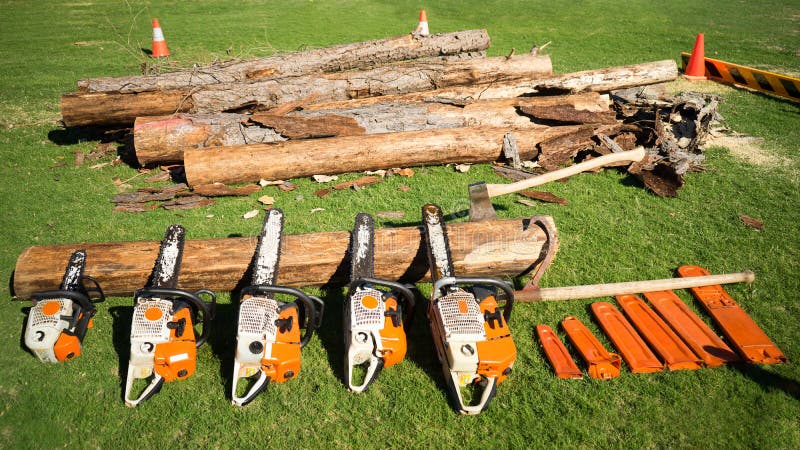 A row of chain saws of different sizes and an ax displayed on a grass. There are wood timbers used and show how the saws cut. A row of chain saws of different sizes and an ax displayed on a grass. There are wood timbers used and show how the saws cut.