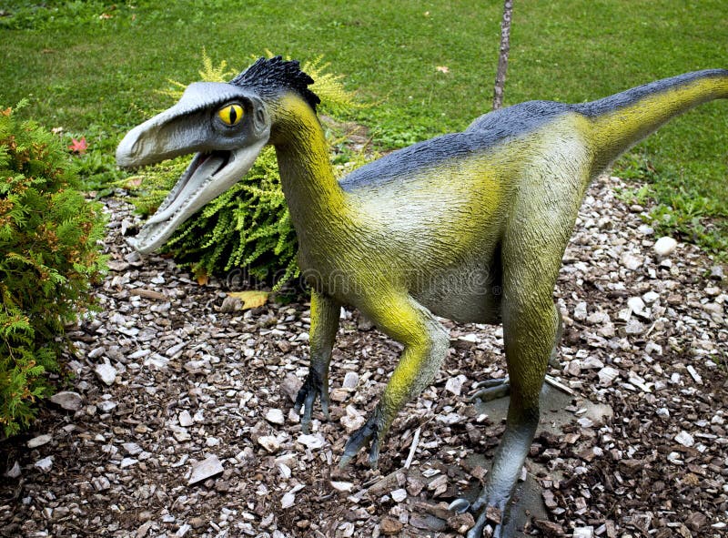 Model of the dinosaur in its natural size. Model of the dinosaur in its natural size.