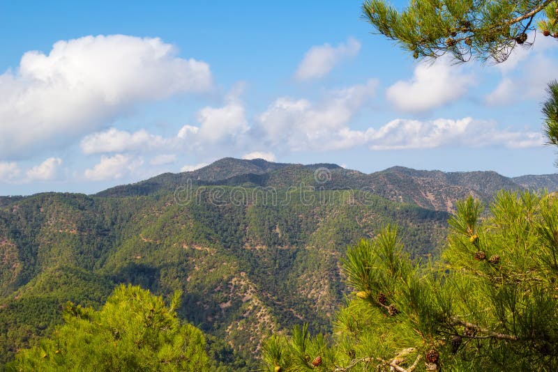 Troodos hory krajiny s borovica pobočiek v popredí, Cyprus.