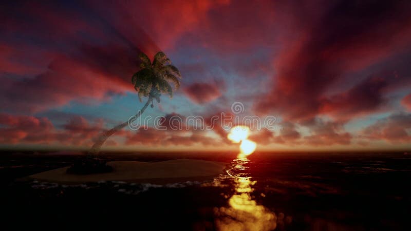 Tropeninsel mit der Palme umgeben durch Ozean, schöner timelapse Sonnenaufgang
