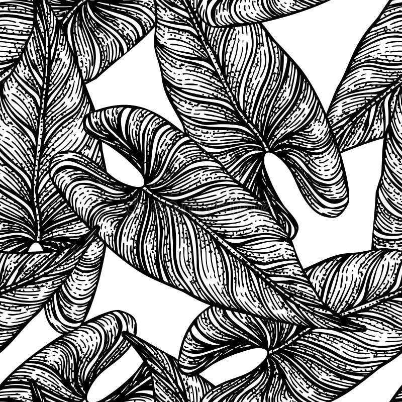 Tropical Araceae Leaf Seamless Pattern. Jungle Leaves Background Stock ...