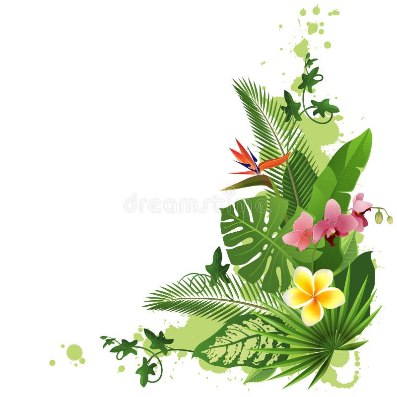 Tropical background