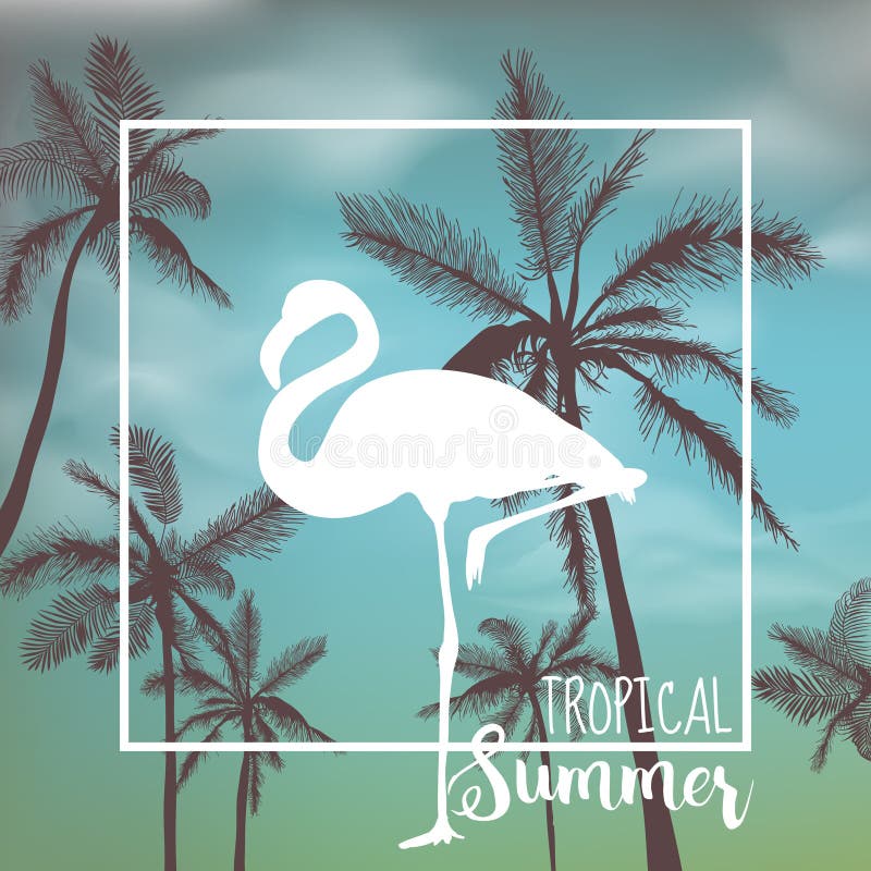 Tropical Background. Palm Leaves. Palms Background