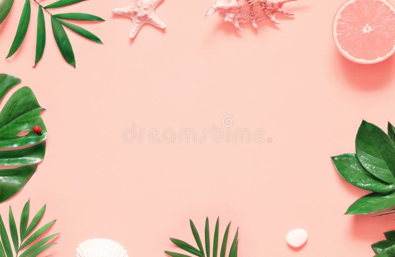 Tropical background. Palm trees branches with starfish and seashell on pink background. Travel. royalty free stock image