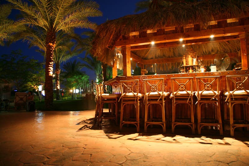 Tropical bar stock photo. Image of palm, drinks, oasis 2467060