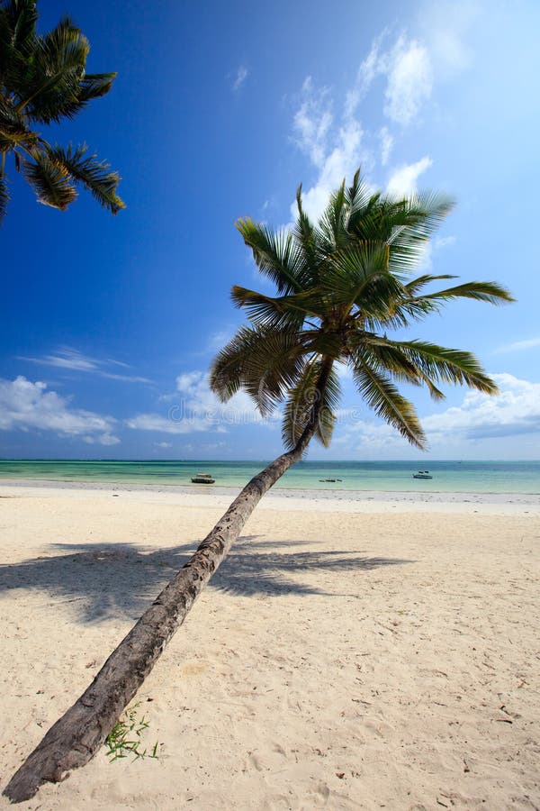 Sombrero Beach on the Florida Keys Stock Image - Image of panoramic ...