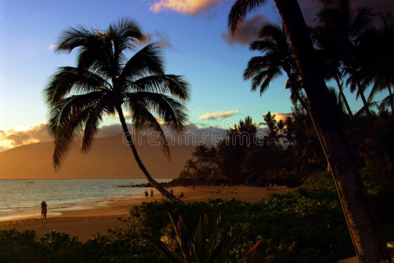 Tropicale Spiaggia.