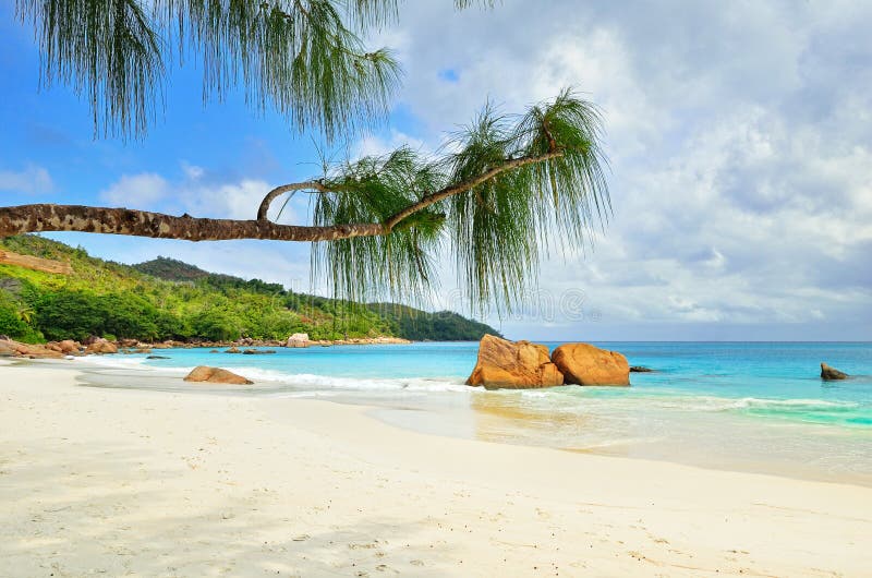 Tropical beach stock photo
