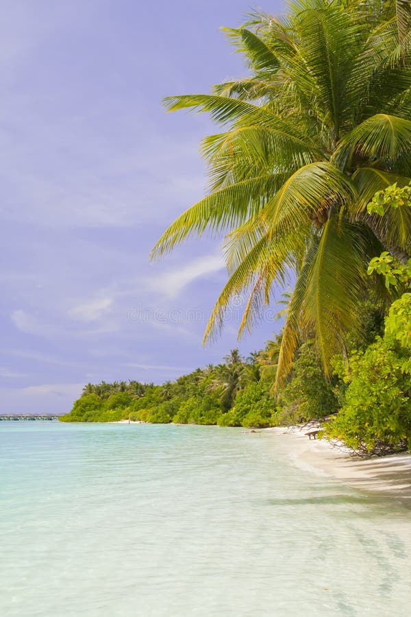Tropical beach stock image. Image of beautiful, idyllic - 21977287