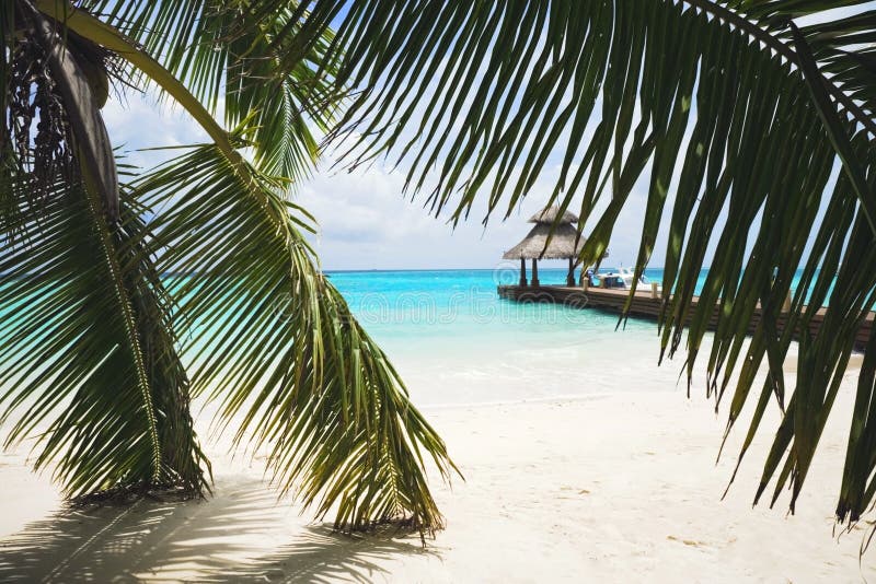 Llooking prostredníctvom palmových listov na tropické biele piesočné pláže.