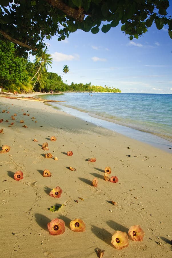 Tropical beach