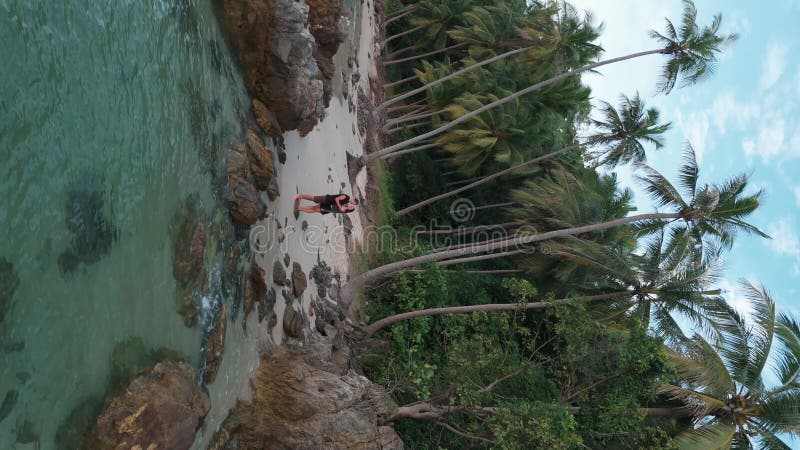 Tropical beach aerial view vertical video nature's contrasts sea meets rainforest Relaxation reigns at tropical