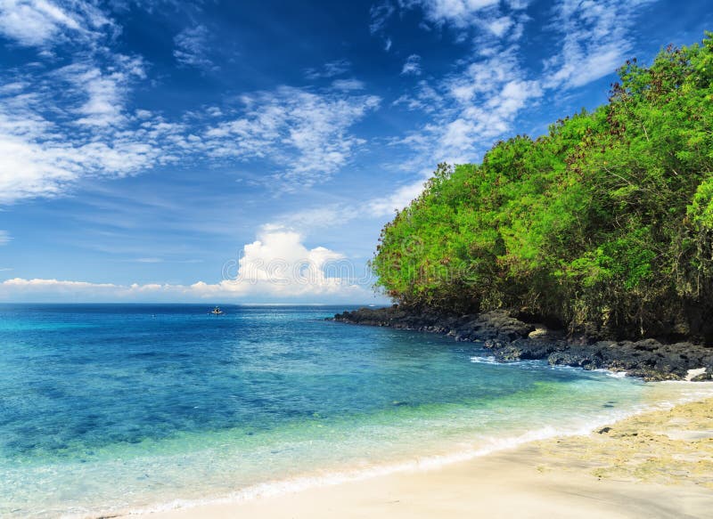  Tropical  Beach  Bali Island Indonesia  Stock Image  Image  