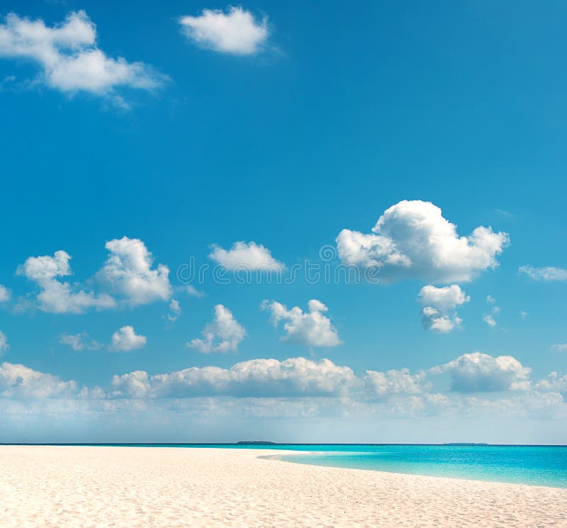 Tropical Beach With Palm Trees Over Blue Sky Stock Photo Image Of