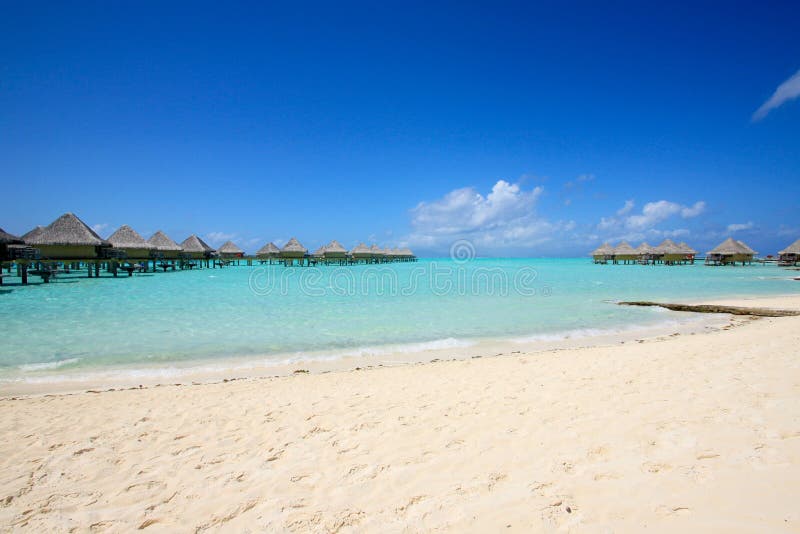 Tropical Beach with Bungalow