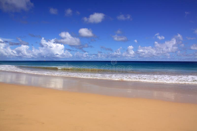 Tropical beach Fernando de Noronha 2