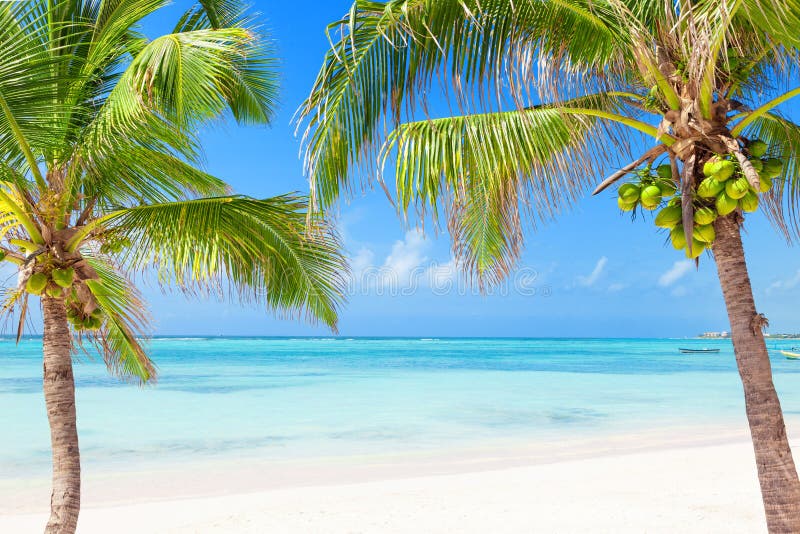 Tropical Paradise at Maldives Stock Photo - Image of nature, landscape ...